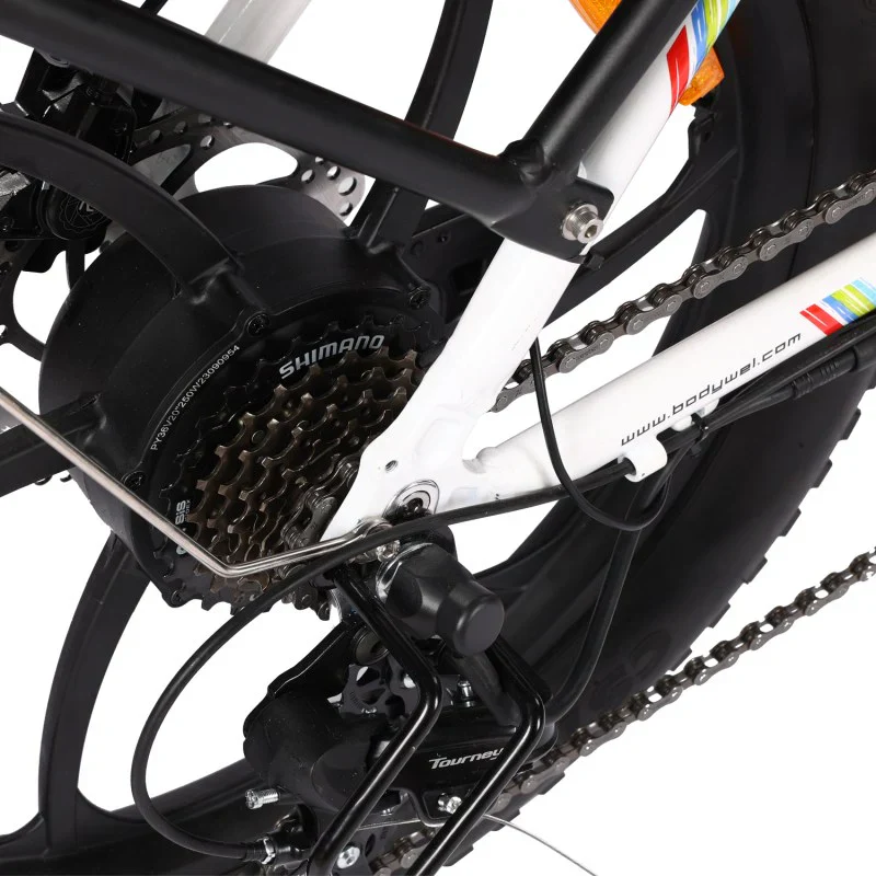 Bodywel F20 SE Fat Tyre E-Bike - Image 6