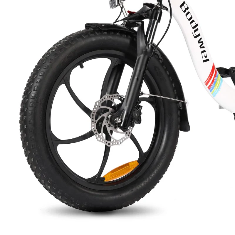 Bodywel F20 SE Fat Tyre E-Bike - Image 9