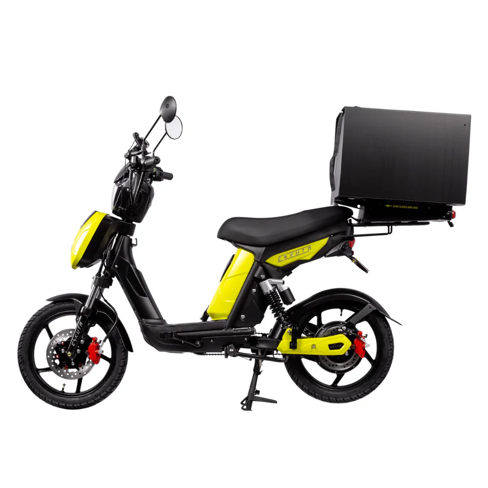 Eskuta SX-250 Series 4 Cargo Electric Bike - Image 12