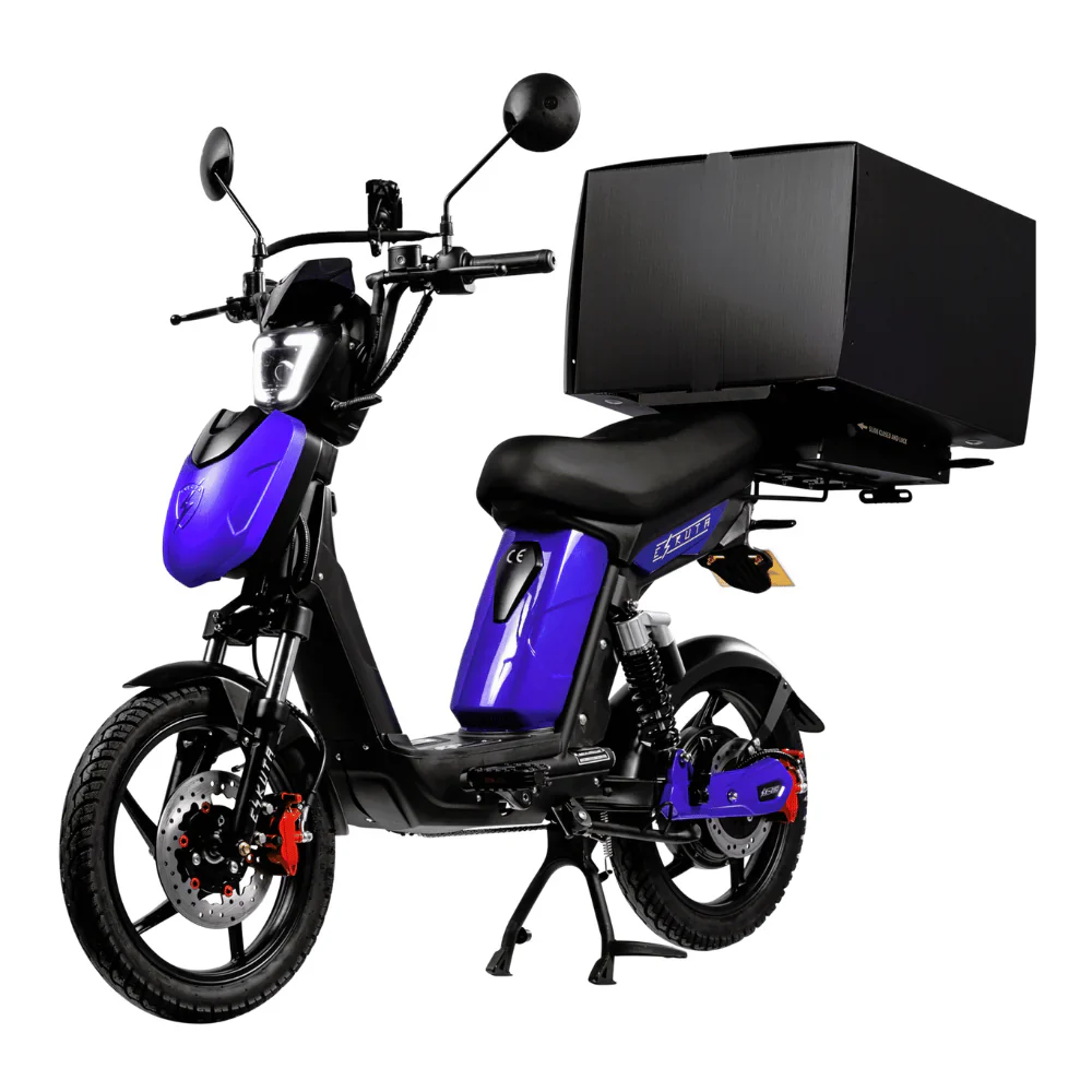 Eskuta SX-250 Series 4 Cargo Electric Bike - Image 14