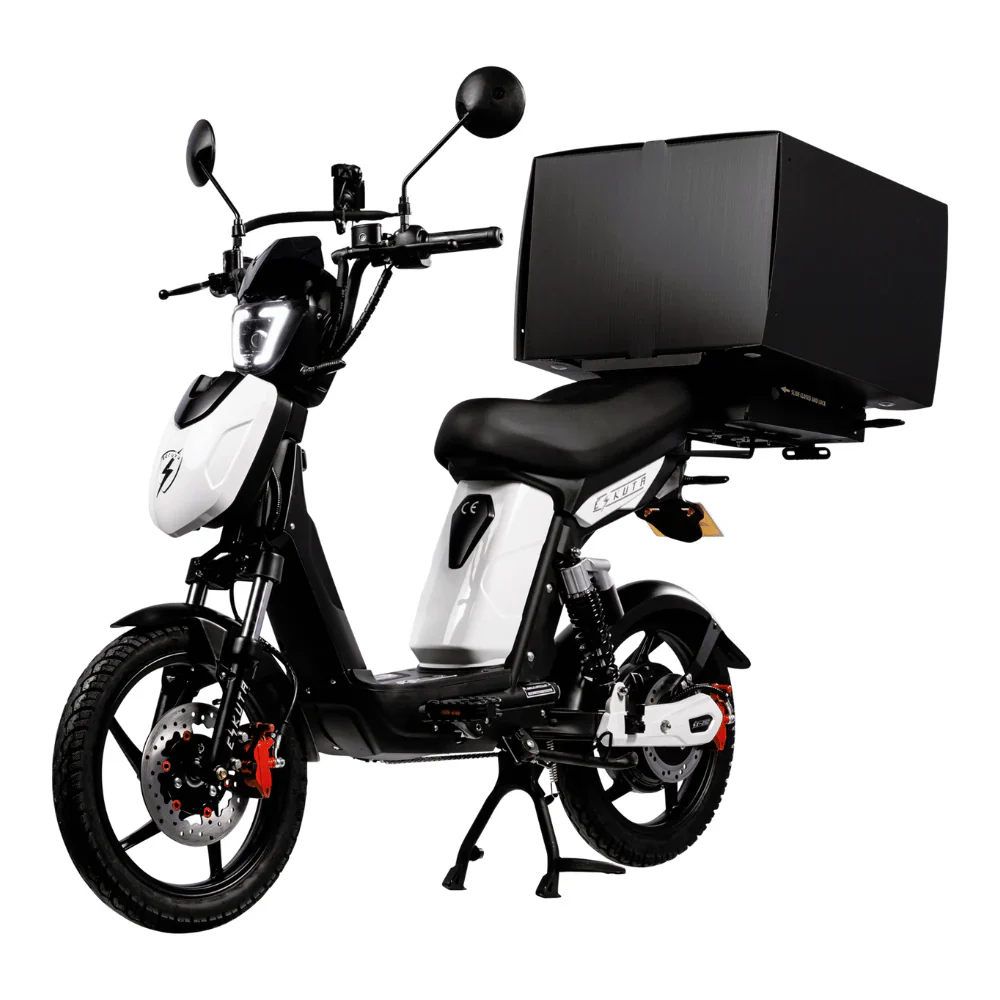Eskuta SX-250 Series 4 Cargo Electric Bike - Image 3