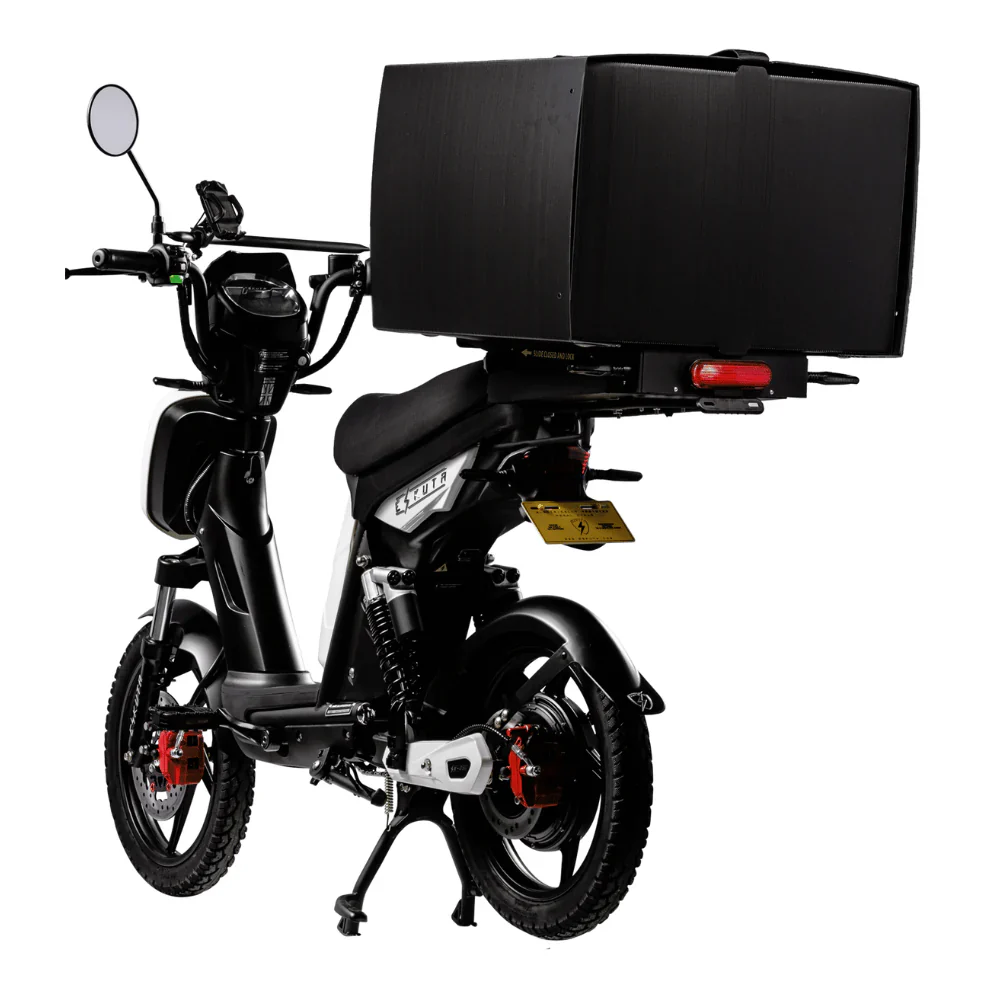 Eskuta SX-250 Series 4 Cargo Electric Bike - Image 4