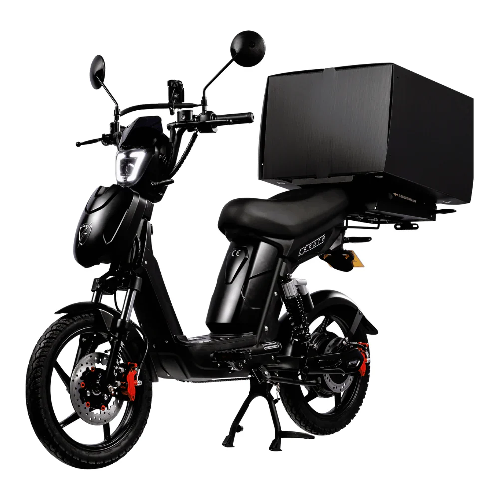 Eskuta SX-250 Series 4 Cargo Electric Bike - Image 5