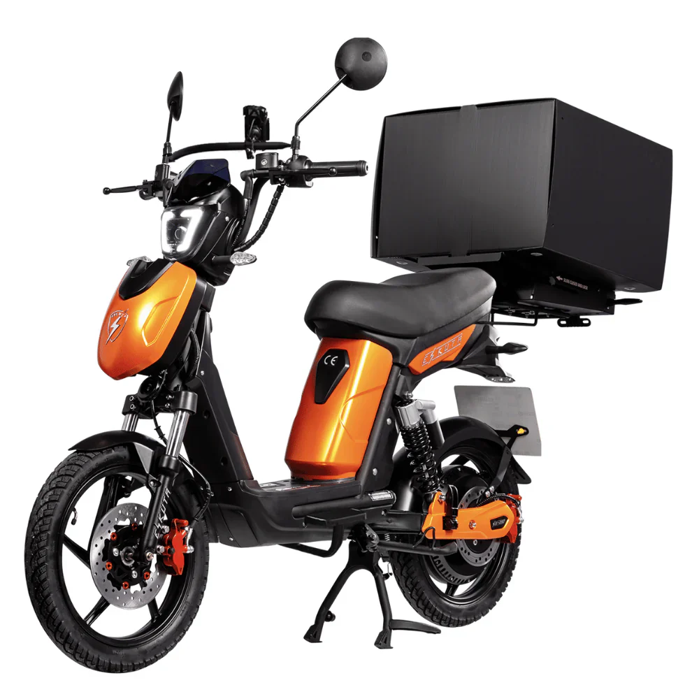 Eskuta SX-800 Cargo Electric Motorbike - Image 10