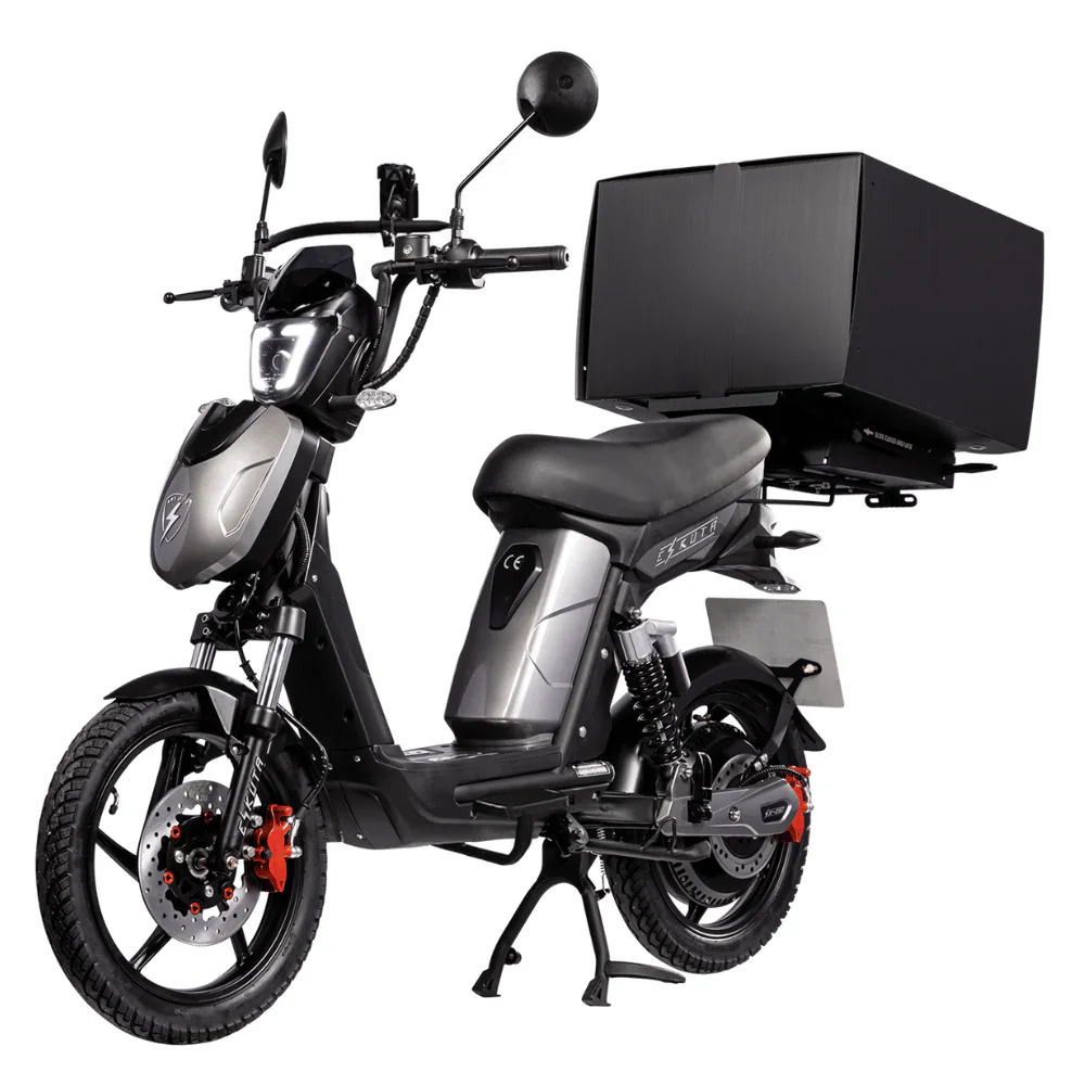 Eskuta SX-800 Cargo Electric Motorbike - Image 15
