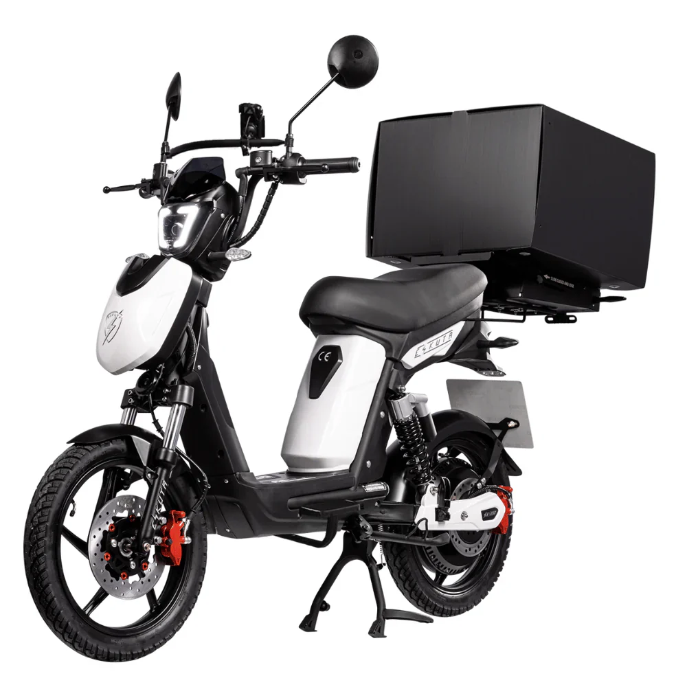 Eskuta SX-800 Cargo Electric Motorbike - Image 3