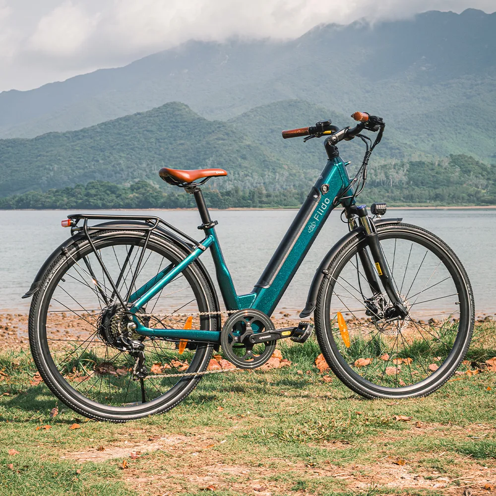 Fiido C11 City e-bike - Image 3