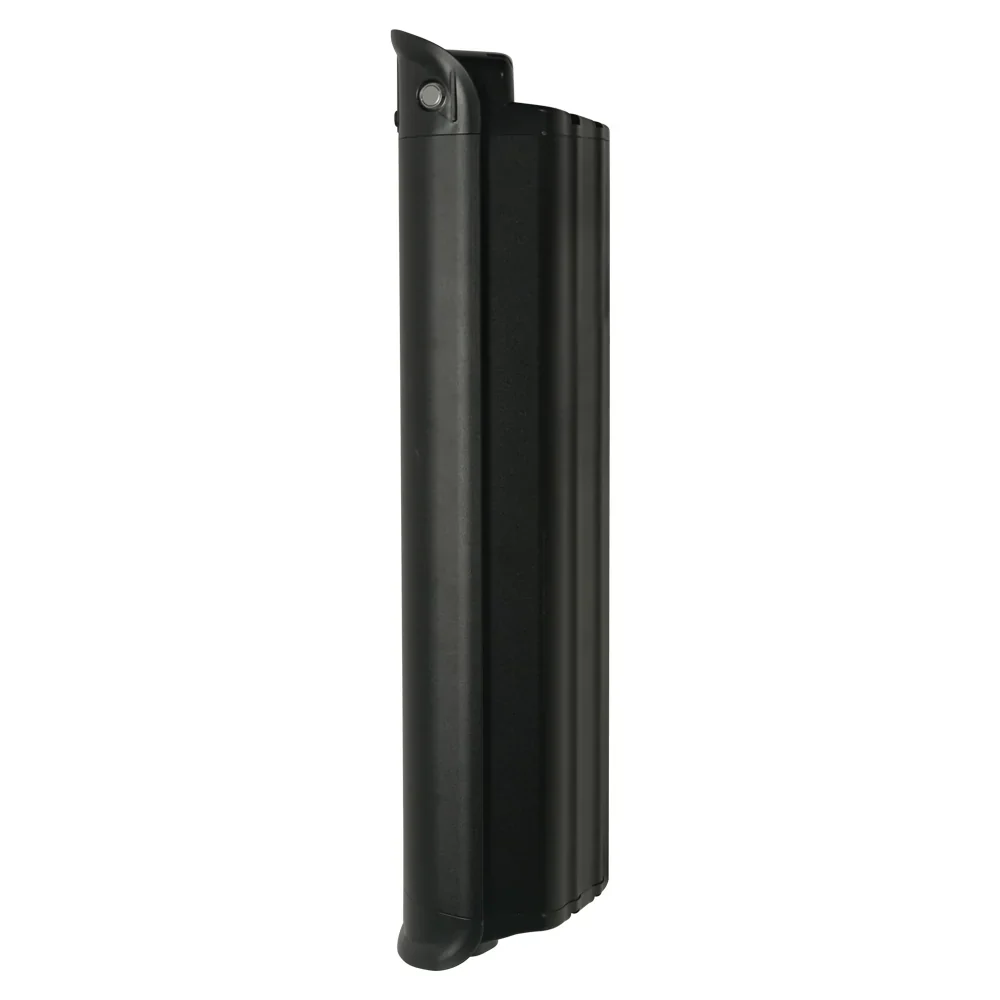 Fiido C11 Pro battery