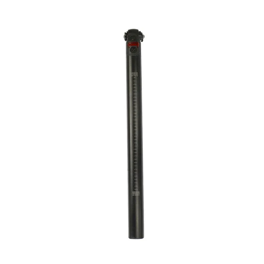 Fiido D11 battery