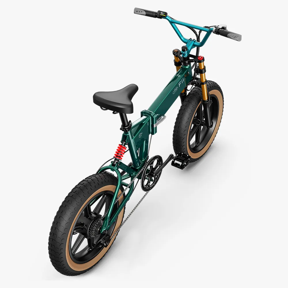 Fiido M1 Pro Fat Tyre Electric Bike | new edition - Image 3