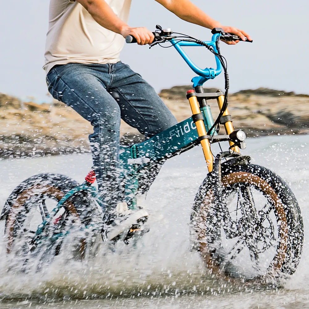 Fiido M1 Pro Fat Tyre Electric Bike | new edition - Image 7