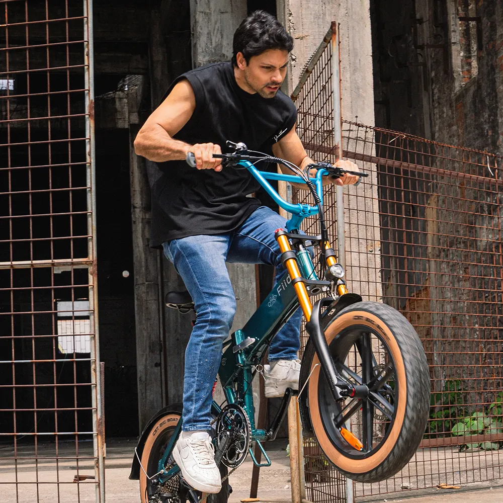 Fiido M1 Pro Fat Tyre Electric Bike | new edition - Image 8