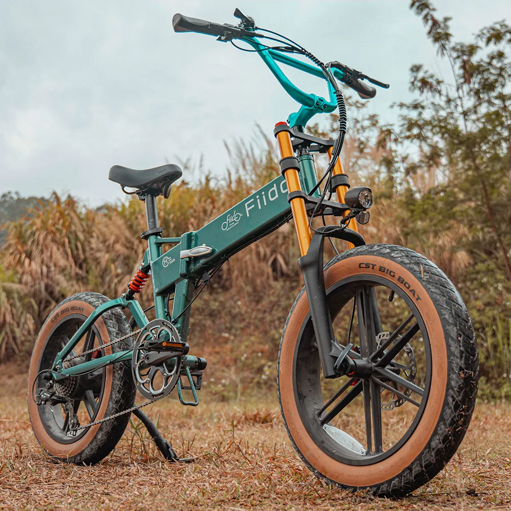 Fiido M1 Pro Fat Tyre Electric Bike | new edition - Image 9