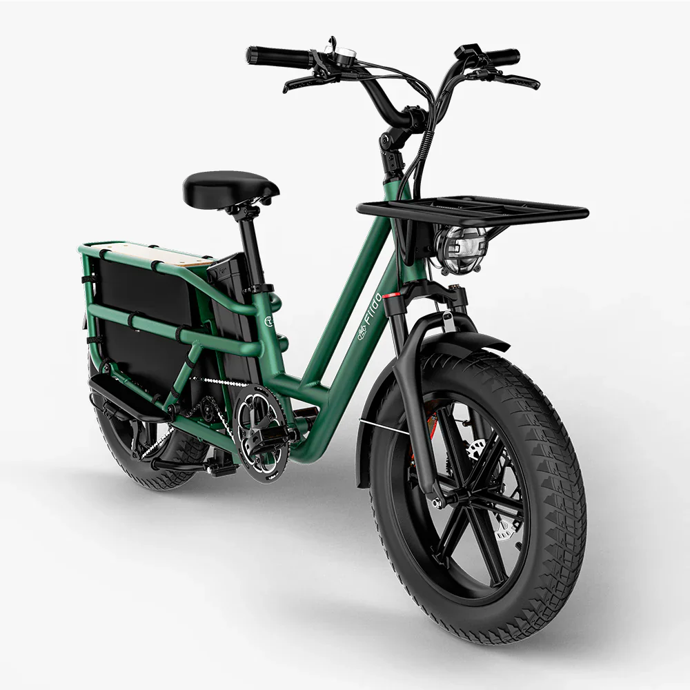 Fiido T2 Longtail Cargo e-bike - Image 3