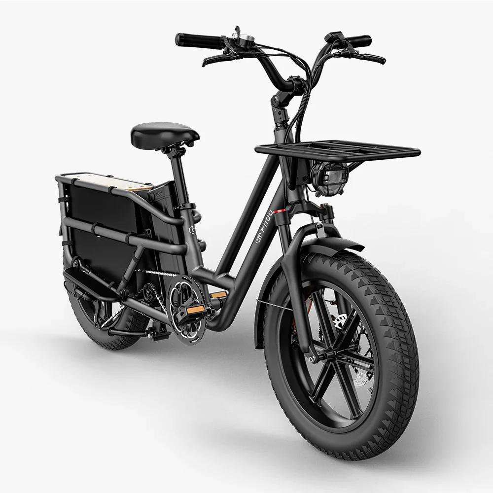 Fiido T2 Longtail Cargo e-bike - Image 5