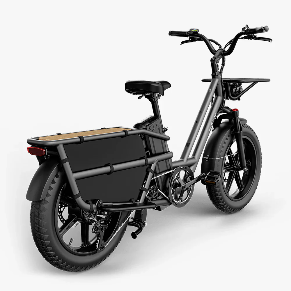 Fiido T2 Longtail Cargo e-bike - Image 6