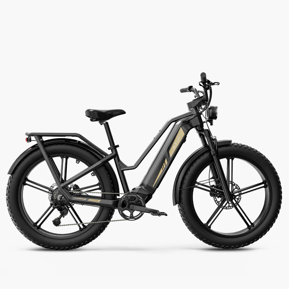 Fiido Titan fat tyre touring e-bike | new edition