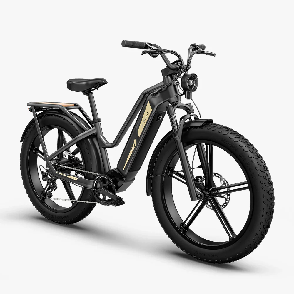 Fiido Titan fat tyre touring e-bike | new edition - Image 3
