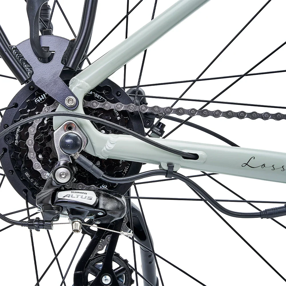 Hygge Lossø step-through e-bike - Image 10