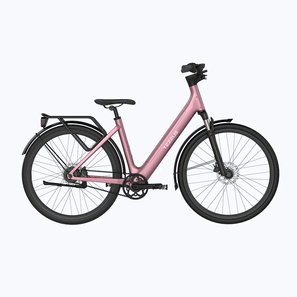 Tezeus C6T electric bike - Image 10