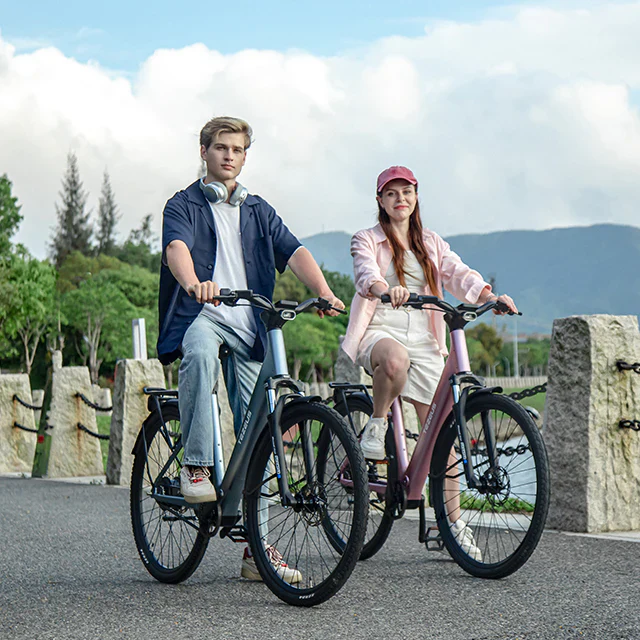 Tezeus C6T electric bike - Image 6